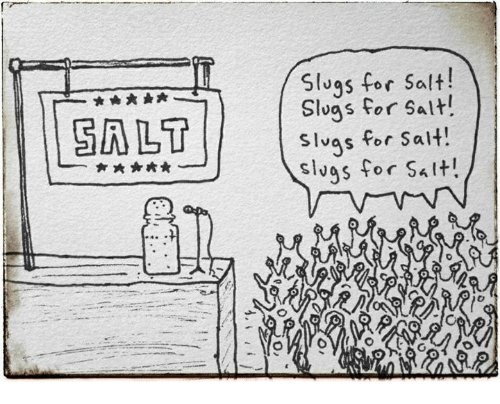 slugs-for-salt-slugs-for-salt-slugs-for-salt-slugs-14063210782600136.png